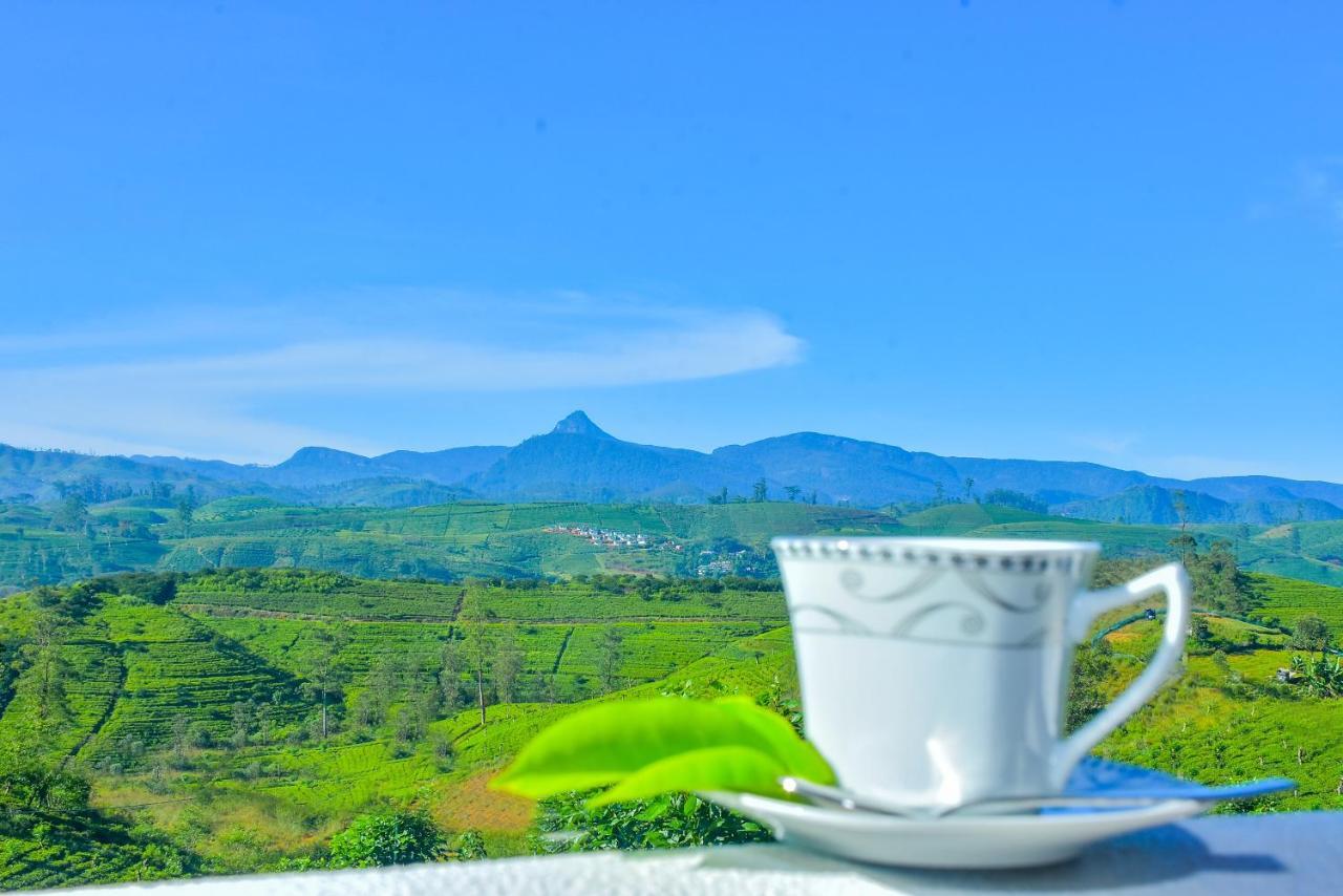 Tea Queens Bungalow ฮัตตอน ภายนอก รูปภาพ